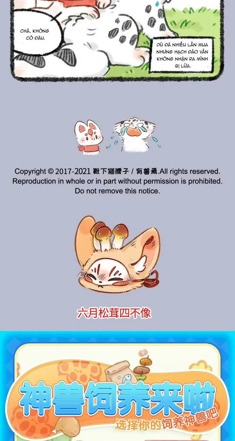 Có Linh Thú Chap 479 - Next Chap 480