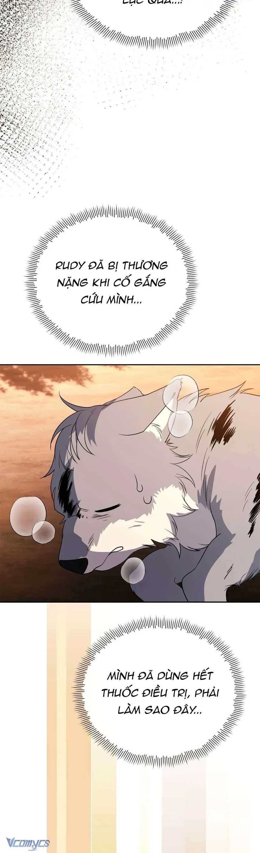 Có Nhiều Nam Chính Quá Đi! Chap 50 - Next Chap 51