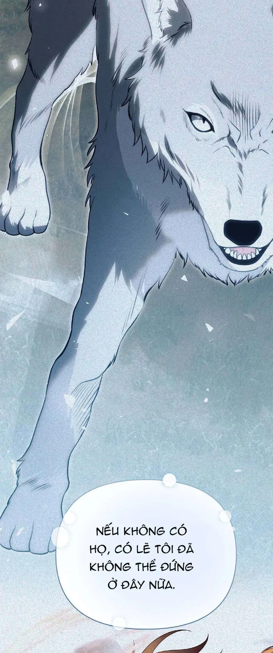 Có Nhiều Nam Chính Quá Đi! Chap 52 - Next Chap 53