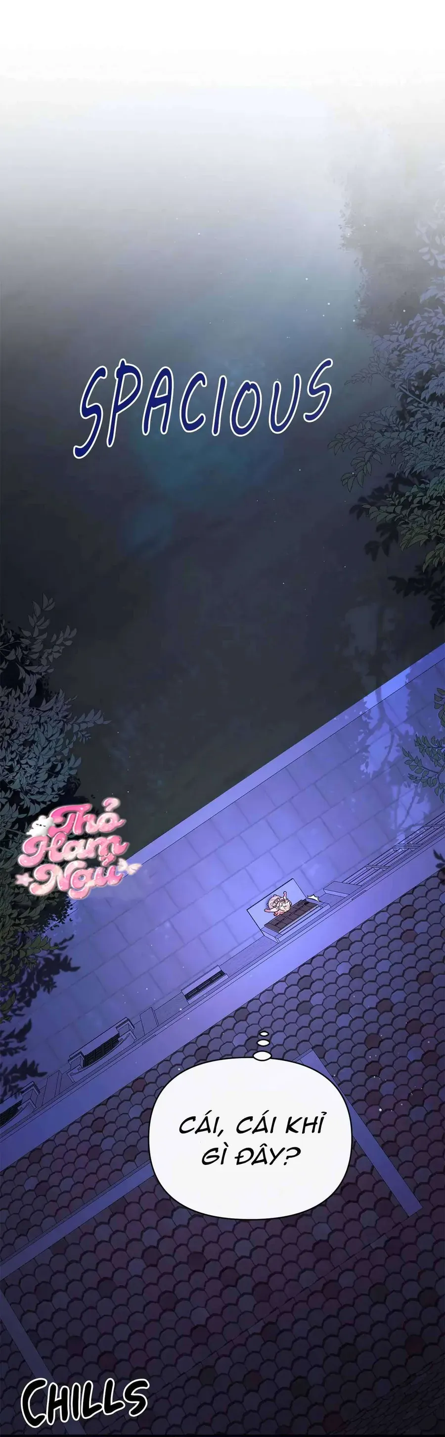 Có Nhiều Nam Chính Quá Đi! Chap 8 - Next Chap 9