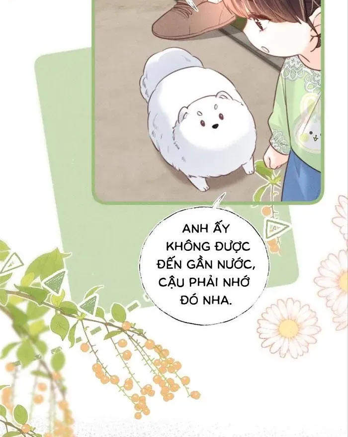 Cô Tổ Mới Ba Tuổi Rưỡi, Ôm Bình Sữa Xem Bói Được Cả Mạng Yêu Chiều Chap 55 - Next Chap 56