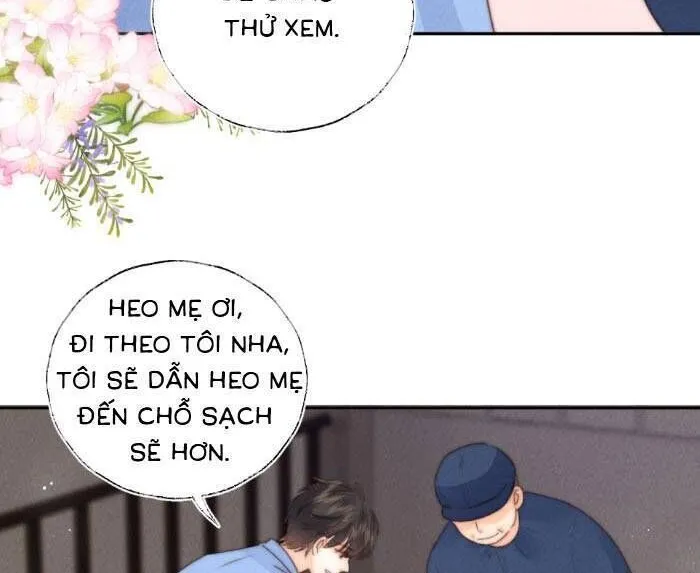 Cô Tổ Mới Ba Tuổi Rưỡi, Ôm Xem Bói Được Cả Mạng Yêu Chiều Chap 19 - Next Chap 20