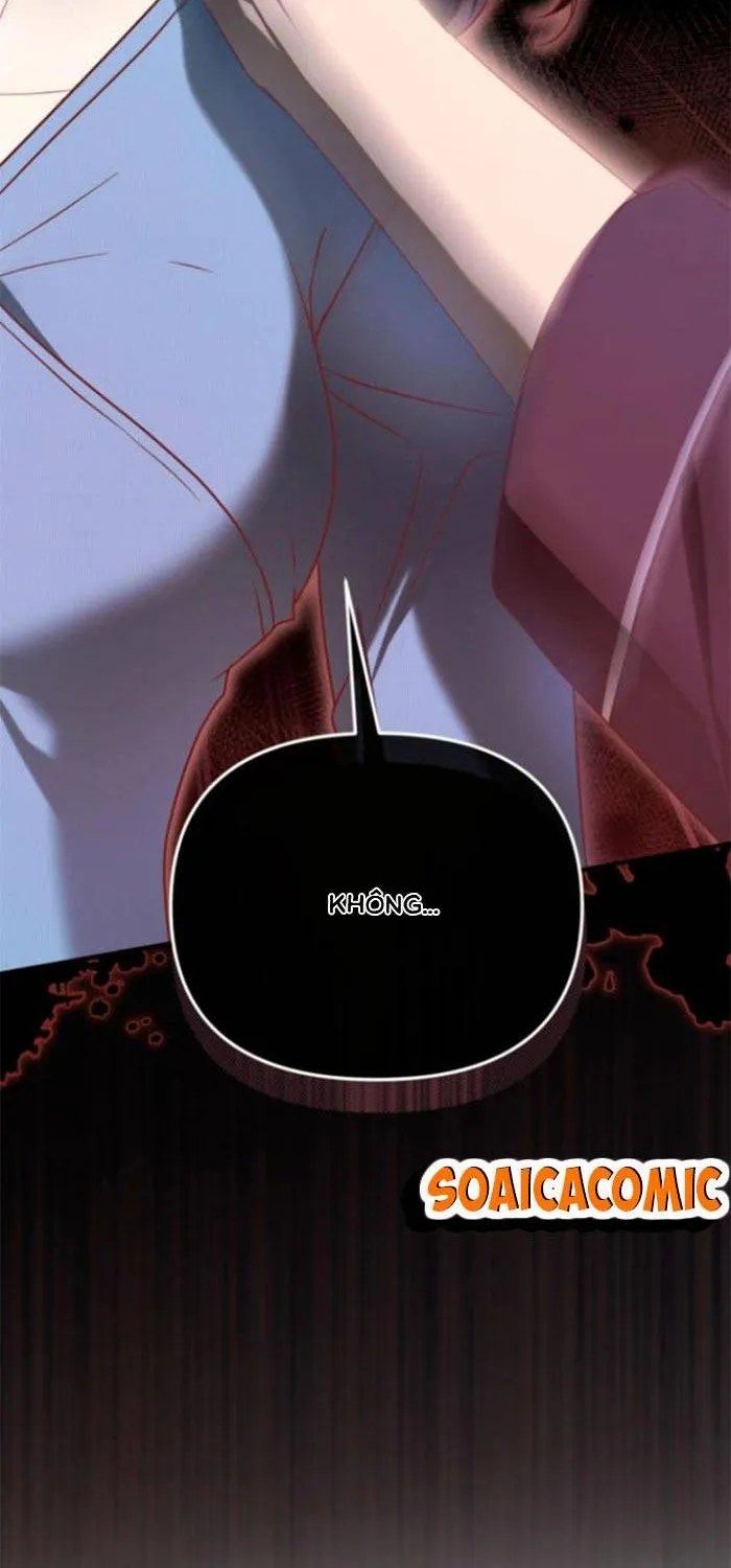 Cô Vợ Đã Chết Của Tôi Trở Về Chap 1.1 - Next Chap 2.1