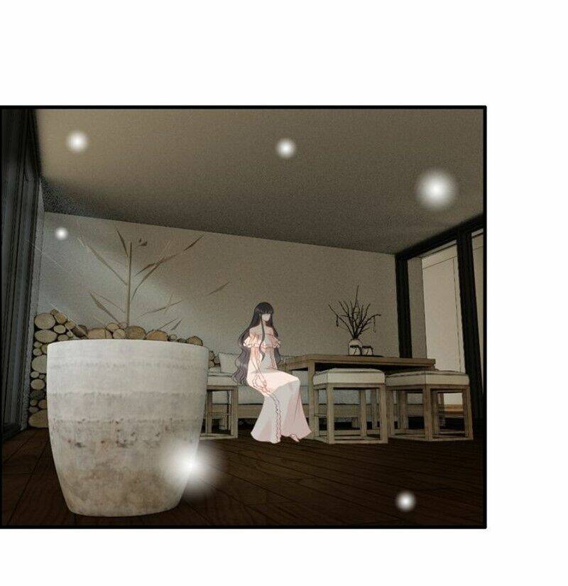 Cô Vợ Hợp Đồng Bỏ Trốn Của Tổng Giám Đốc Chap 117 - Next Chap 118