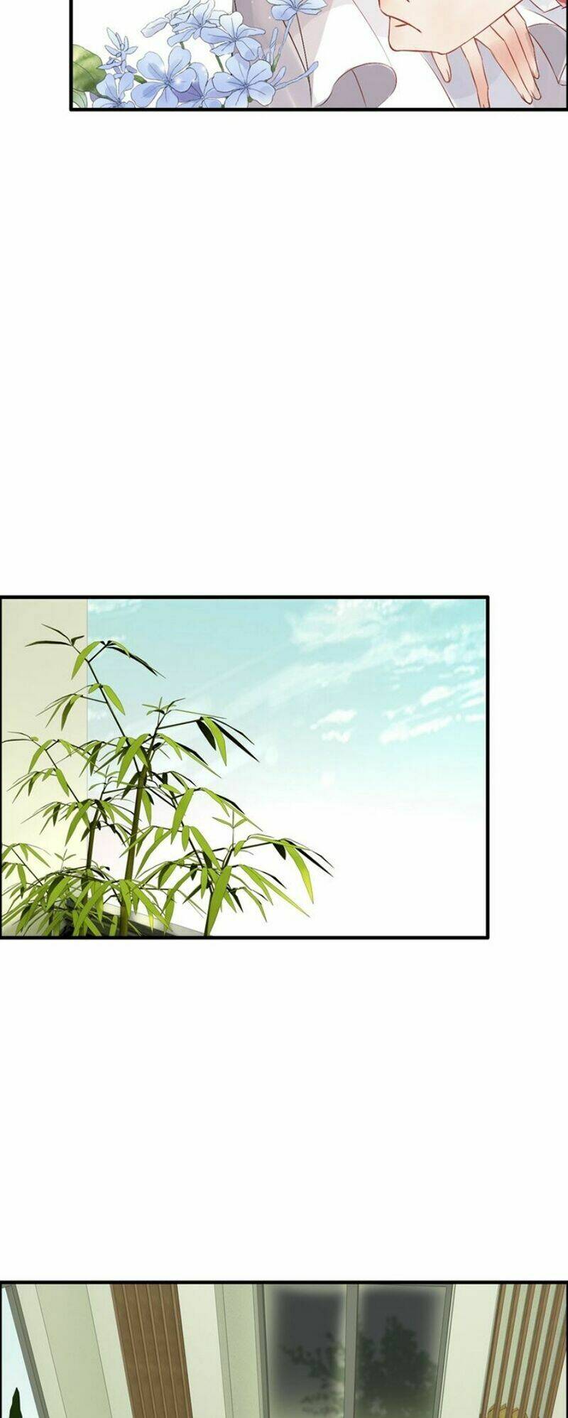 Cô Vợ Hợp Đồng Bỏ Trốn Của Tổng Giám Đốc Chap 139 - Next Chap 140