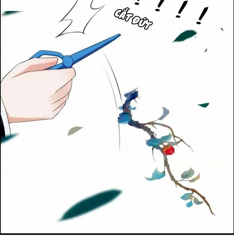 Cô Vợ Hợp Đồng Bỏ Trốn Của Tổng Giám Đốc Chap 14 - Next Chap 15