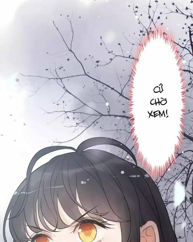 Cô Vợ Hợp Đồng Bỏ Trốn Của Tổng Giám Đốc Chap 216 - Next Chap 217