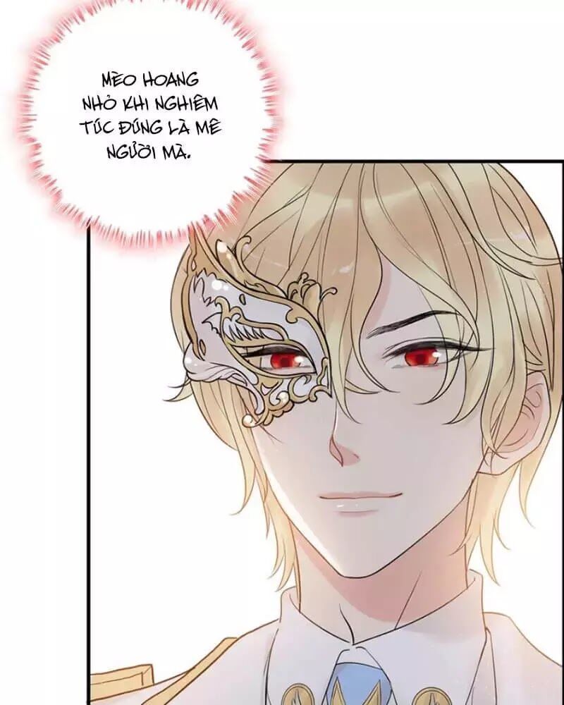 Cô Vợ Hợp Đồng Bỏ Trốn Của Tổng Giám Đốc Chap 217.4 - Next Chap 218.4