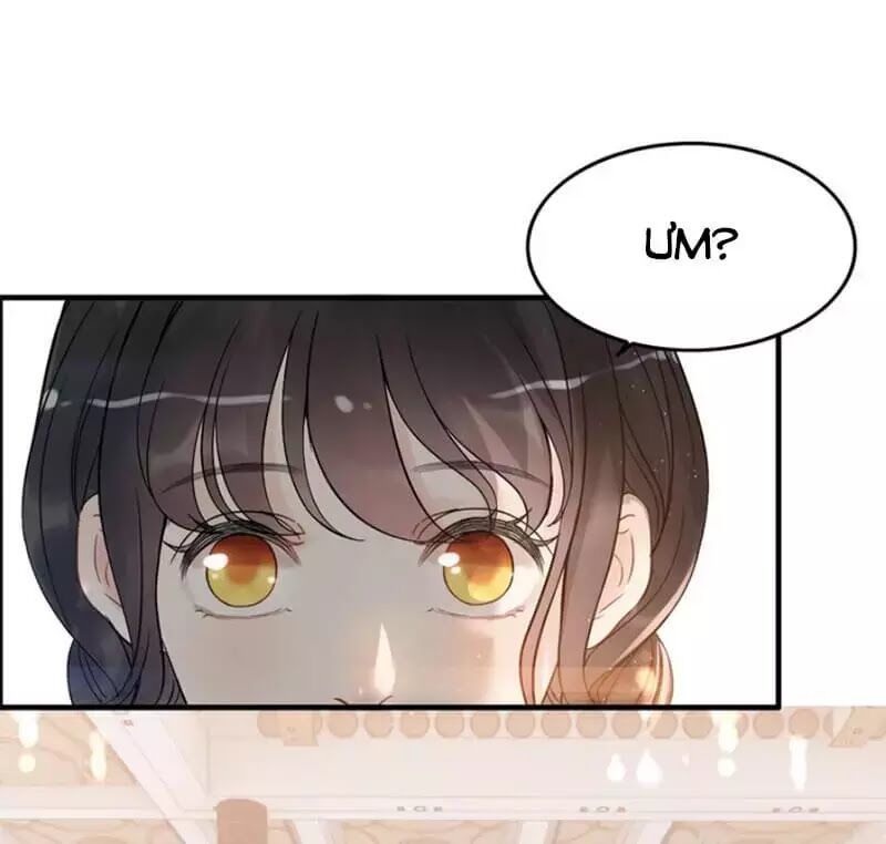 Cô Vợ Hợp Đồng Bỏ Trốn Của Tổng Giám Đốc Chap 217.4 - Next Chap 218.4