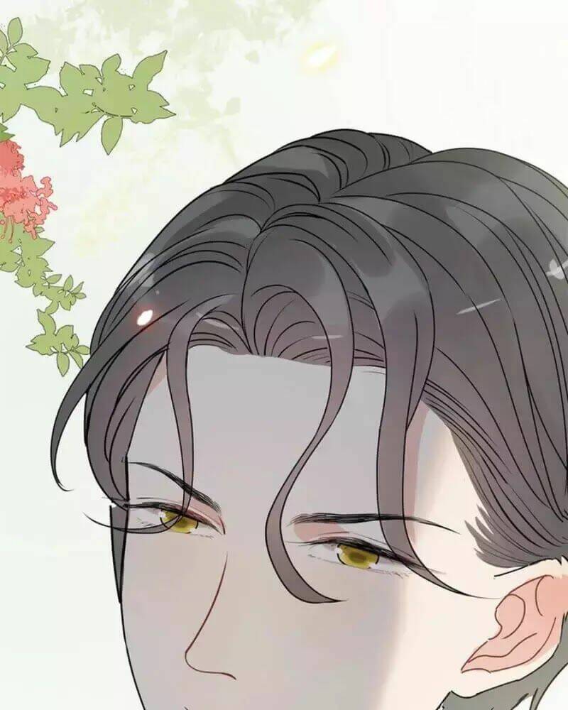 Cô Vợ Hợp Đồng Bỏ Trốn Của Tổng Giám Đốc Chap 230 - Next Chap 231