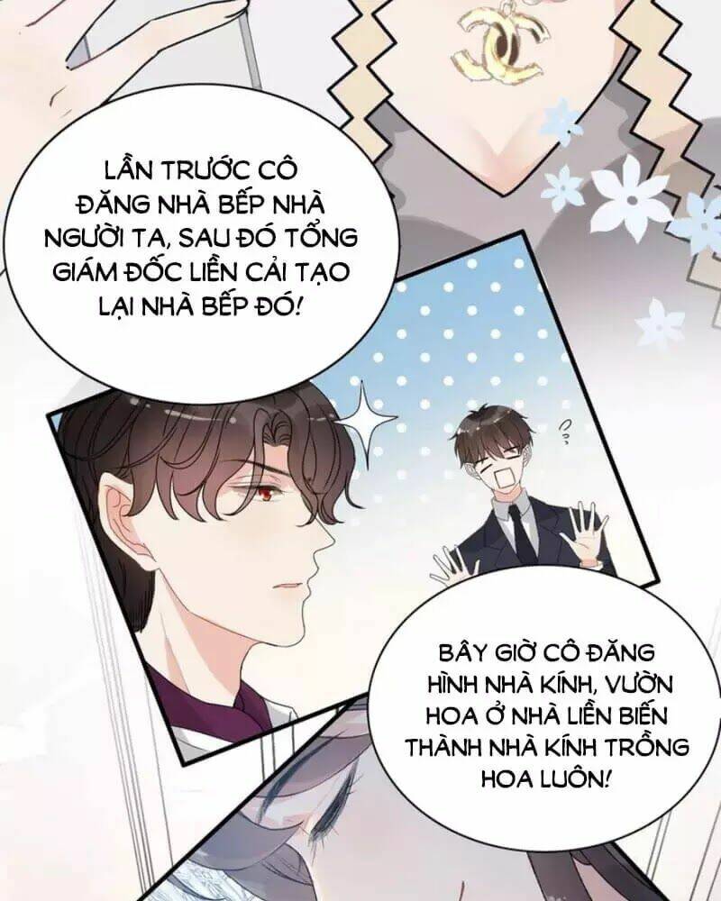 Cô Vợ Hợp Đồng Bỏ Trốn Của Tổng Giám Đốc Chap 237 - Next Chap 238