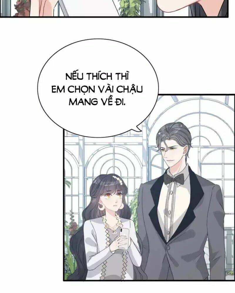 Cô Vợ Hợp Đồng Bỏ Trốn Của Tổng Giám Đốc Chap 237 - Next Chap 238