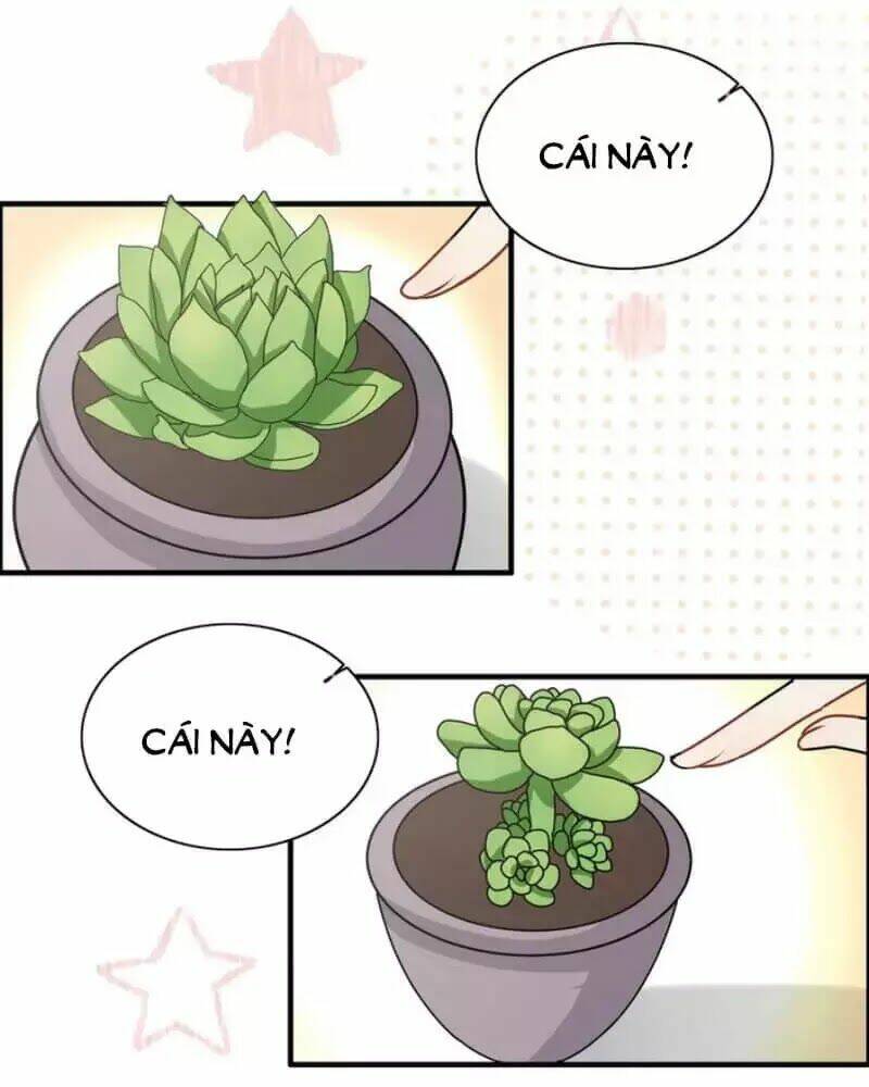 Cô Vợ Hợp Đồng Bỏ Trốn Của Tổng Giám Đốc Chap 237 - Next Chap 238