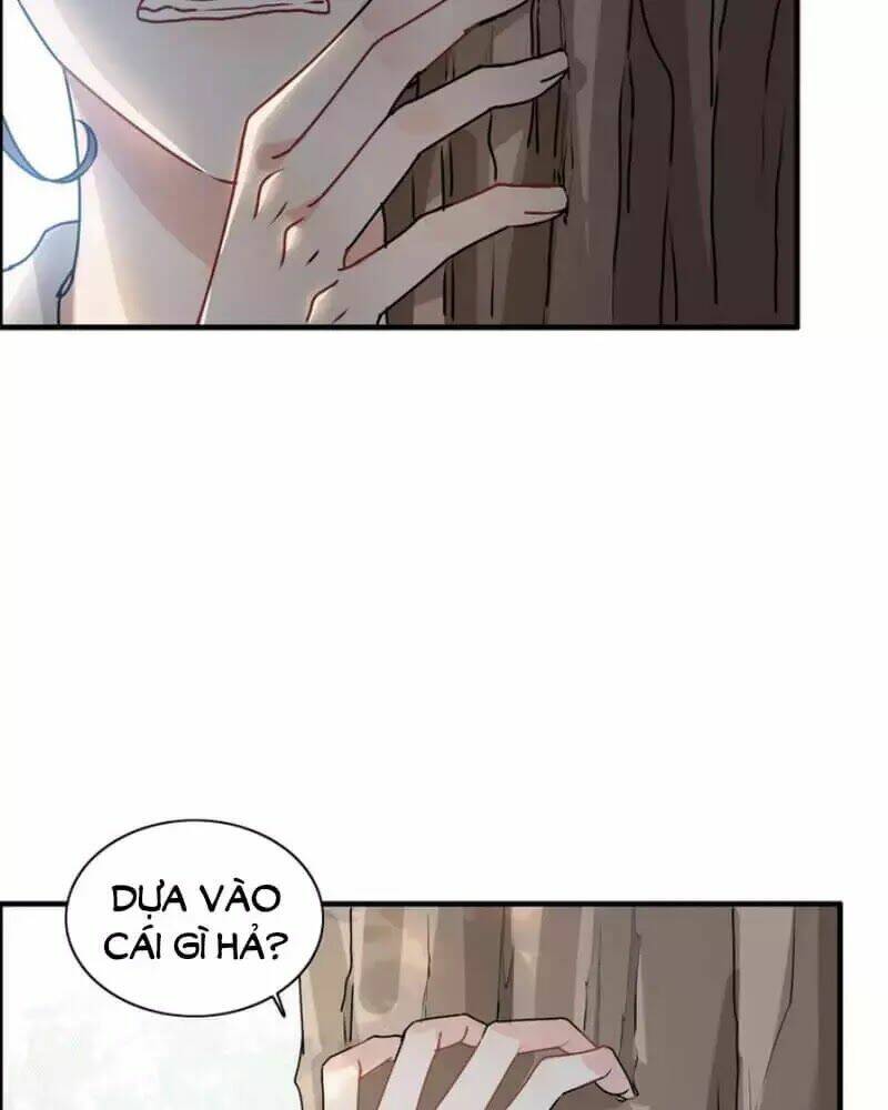 Cô Vợ Hợp Đồng Bỏ Trốn Của Tổng Giám Đốc Chap 237 - Next Chap 238