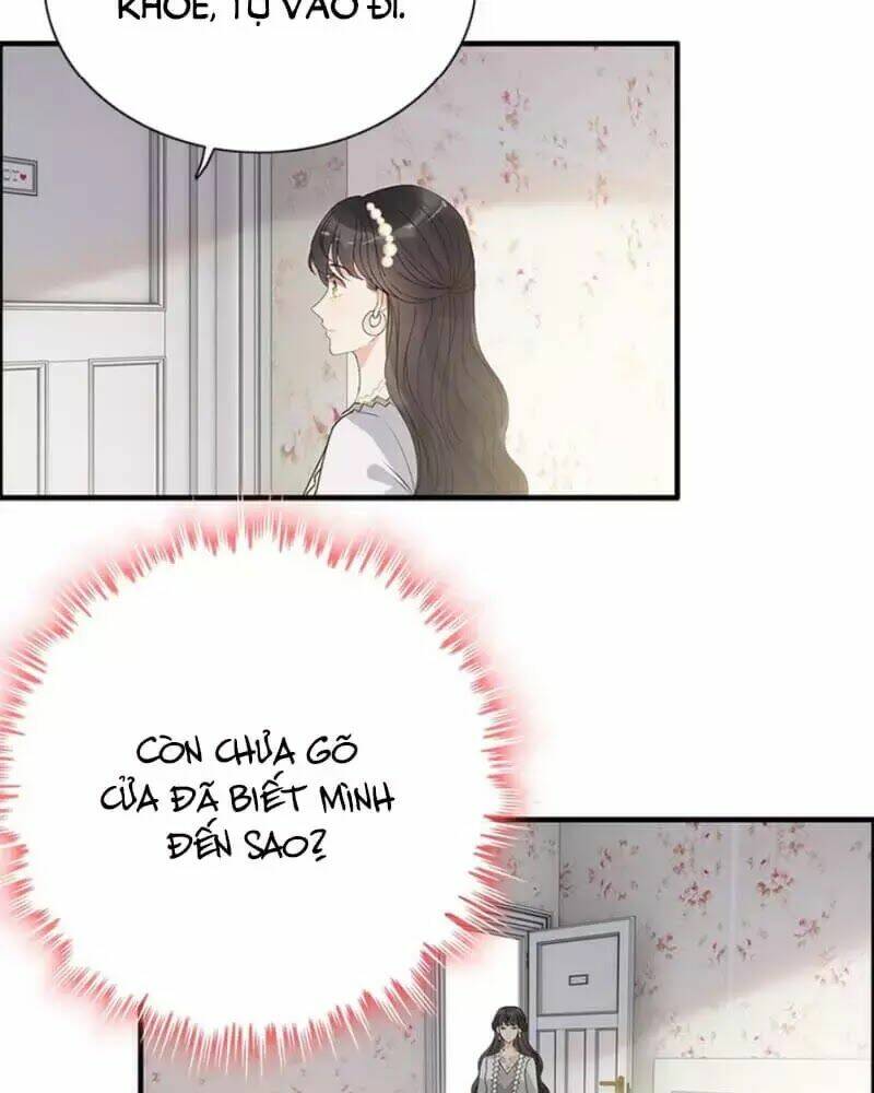 Cô Vợ Hợp Đồng Bỏ Trốn Của Tổng Giám Đốc Chap 238 - Next Chap 239