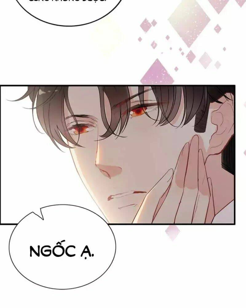 Cô Vợ Hợp Đồng Bỏ Trốn Của Tổng Giám Đốc Chap 240 - Next Chap 241