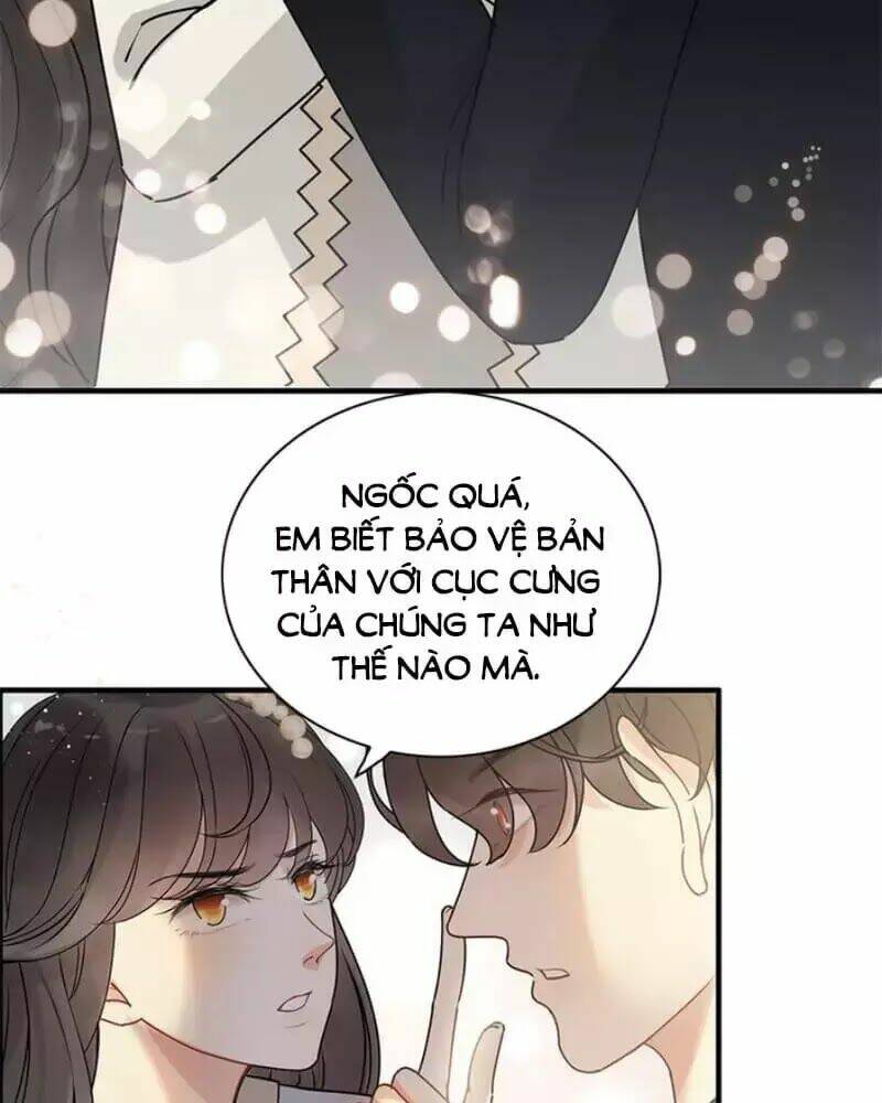 Cô Vợ Hợp Đồng Bỏ Trốn Của Tổng Giám Đốc Chap 240 - Next Chap 241