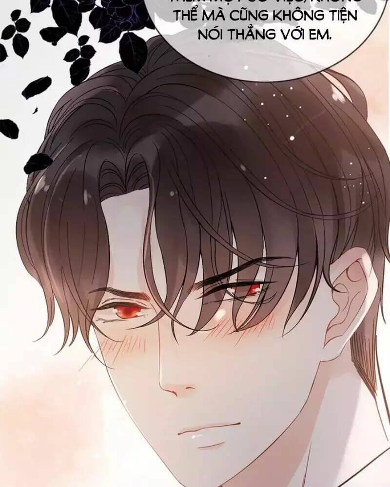Cô Vợ Hợp Đồng Bỏ Trốn Của Tổng Giám Đốc Chap 241 - Next Chap 242