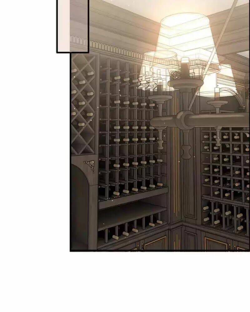 Cô Vợ Hợp Đồng Bỏ Trốn Của Tổng Giám Đốc Chap 242 - Next Chap 243