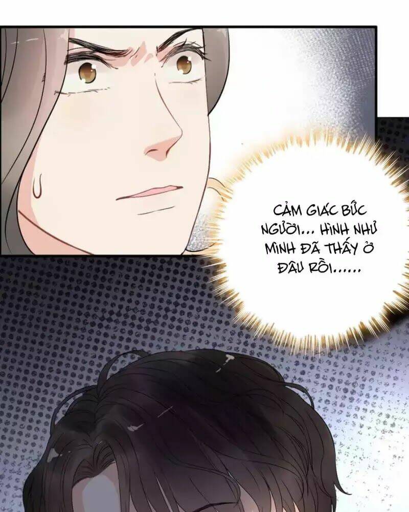 Cô Vợ Hợp Đồng Bỏ Trốn Của Tổng Giám Đốc Chap 243 - Next Chap 244