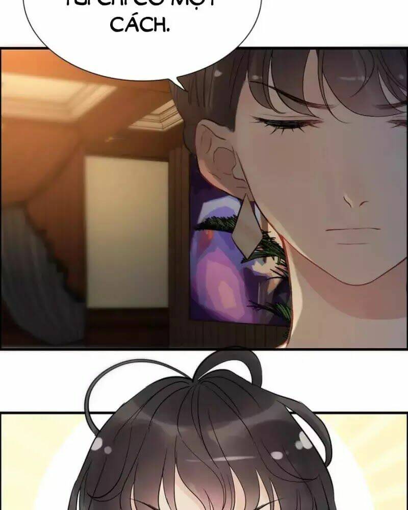 Cô Vợ Hợp Đồng Bỏ Trốn Của Tổng Giám Đốc Chap 244 - Next Chap 245