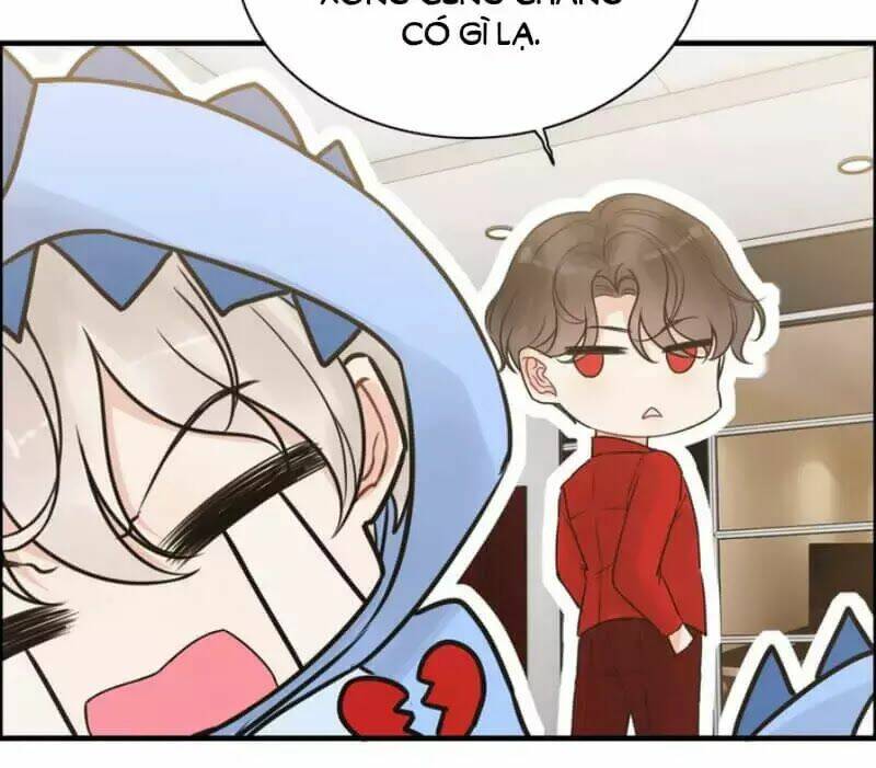 Cô Vợ Hợp Đồng Bỏ Trốn Của Tổng Giám Đốc Chap 249 - Next Chap 250