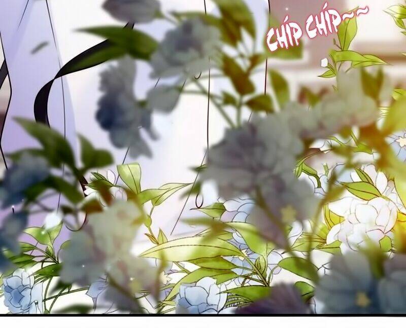 Cô Vợ Hợp Đồng Bỏ Trốn Của Tổng Giám Đốc Chap 26 - Next Chap 27