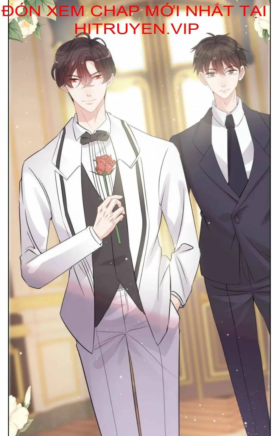 Cô Vợ Hợp Đồng Bỏ Trốn Của Tổng Giám Đốc Chap 291 - Next Chap 292