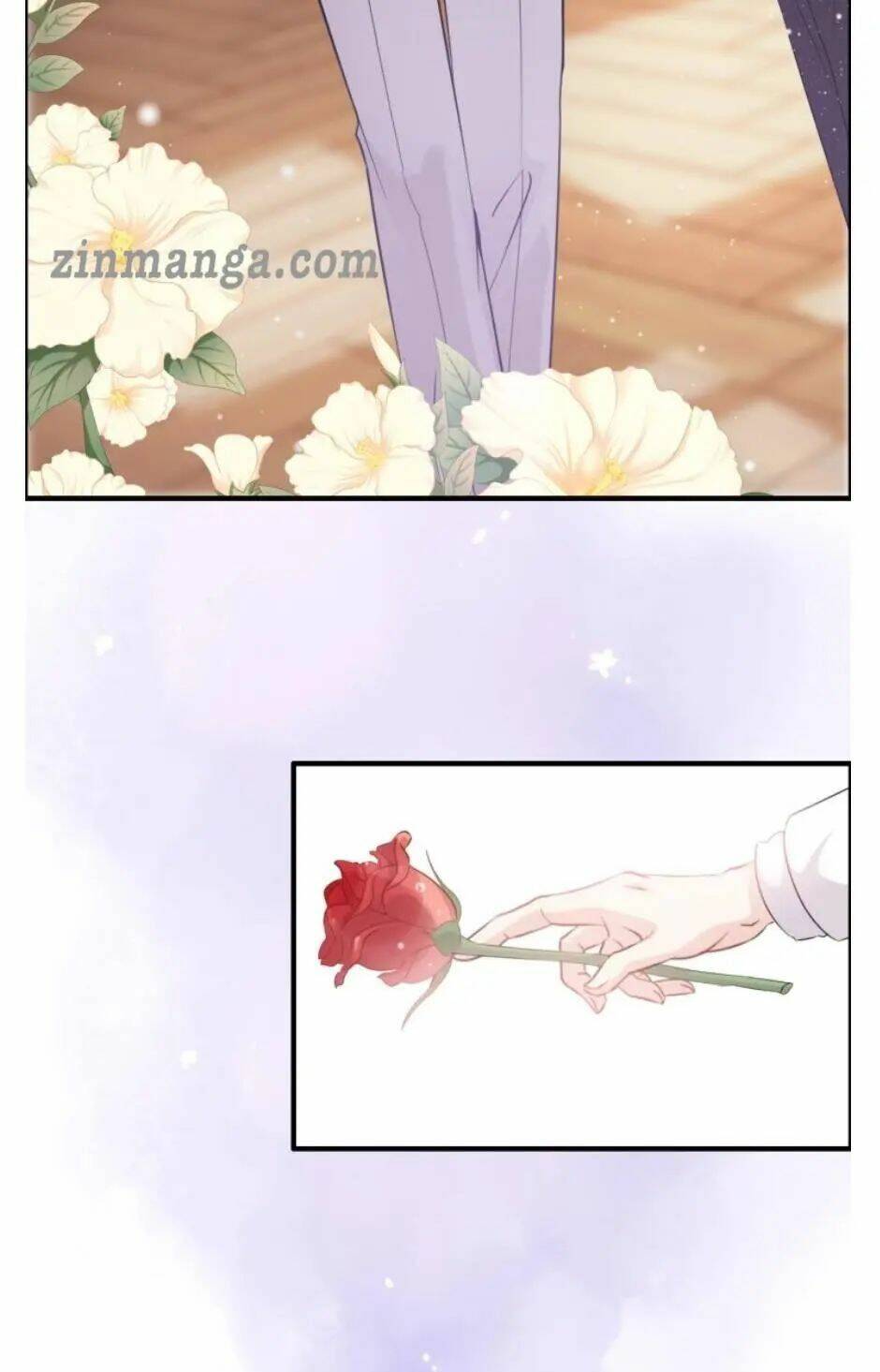 Cô Vợ Hợp Đồng Bỏ Trốn Của Tổng Giám Đốc Chap 291 - Next Chap 292