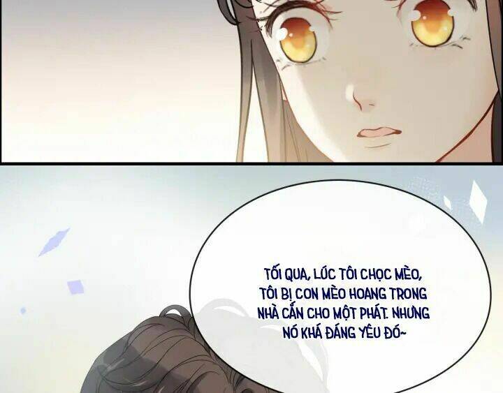 Cô Vợ Hợp Đồng Bỏ Trốn Của Tổng Giám Đốc Chap 315 - Next Chap 316