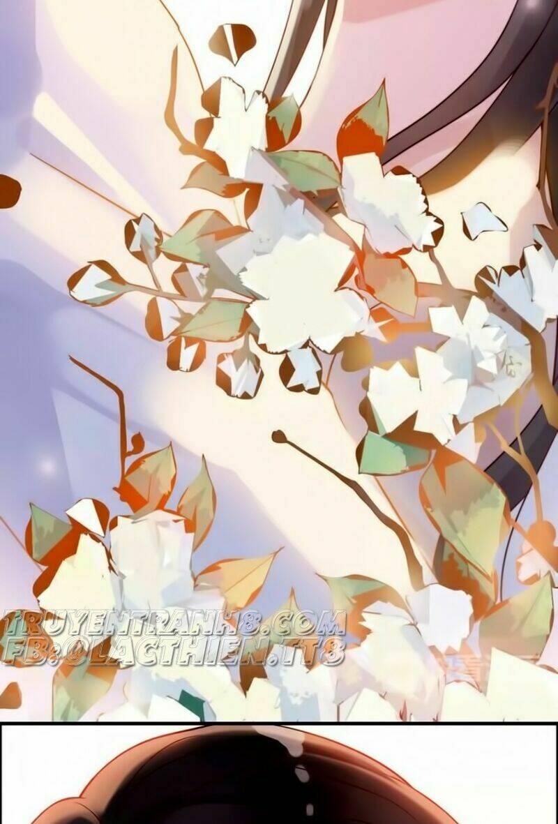 Cô Vợ Hợp Đồng Bỏ Trốn Của Tổng Giám Đốc Chap 33 - Next Chap 34