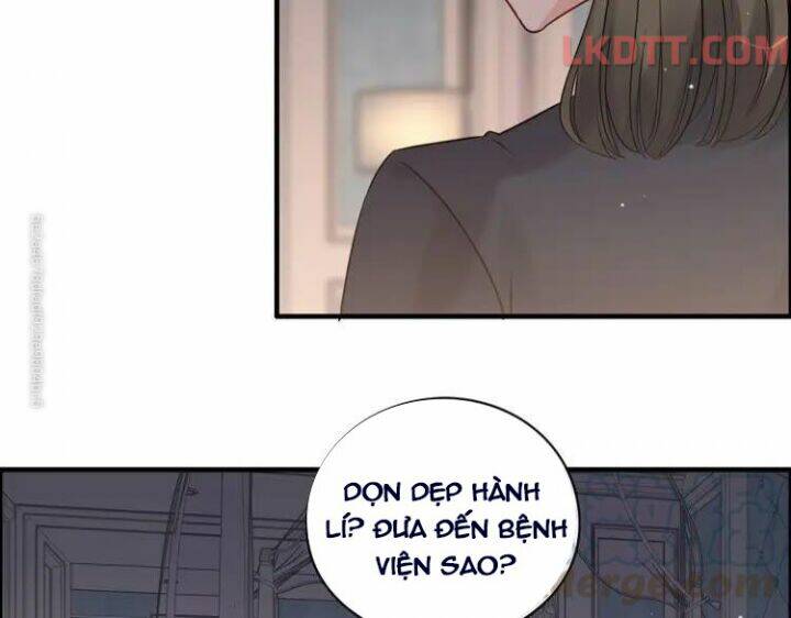 Cô Vợ Hợp Đồng Bỏ Trốn Của Tổng Giám Đốc Chap 333 - Next Chap 334