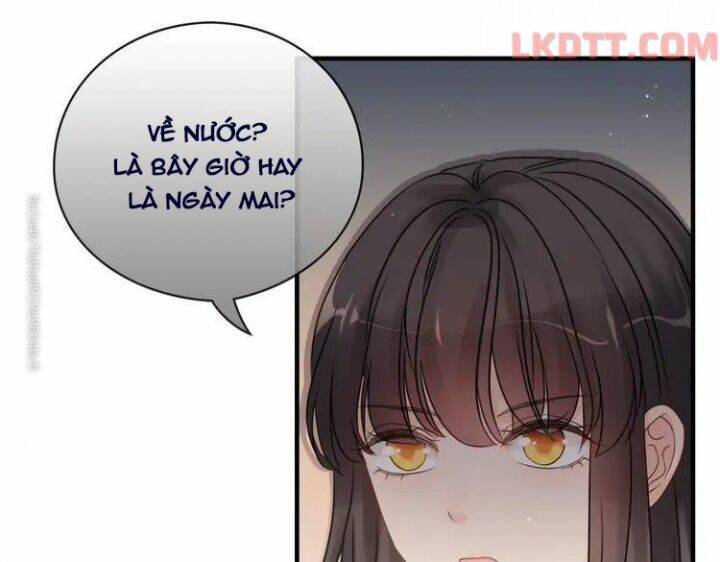 Cô Vợ Hợp Đồng Bỏ Trốn Của Tổng Giám Đốc Chap 333 - Next Chap 334