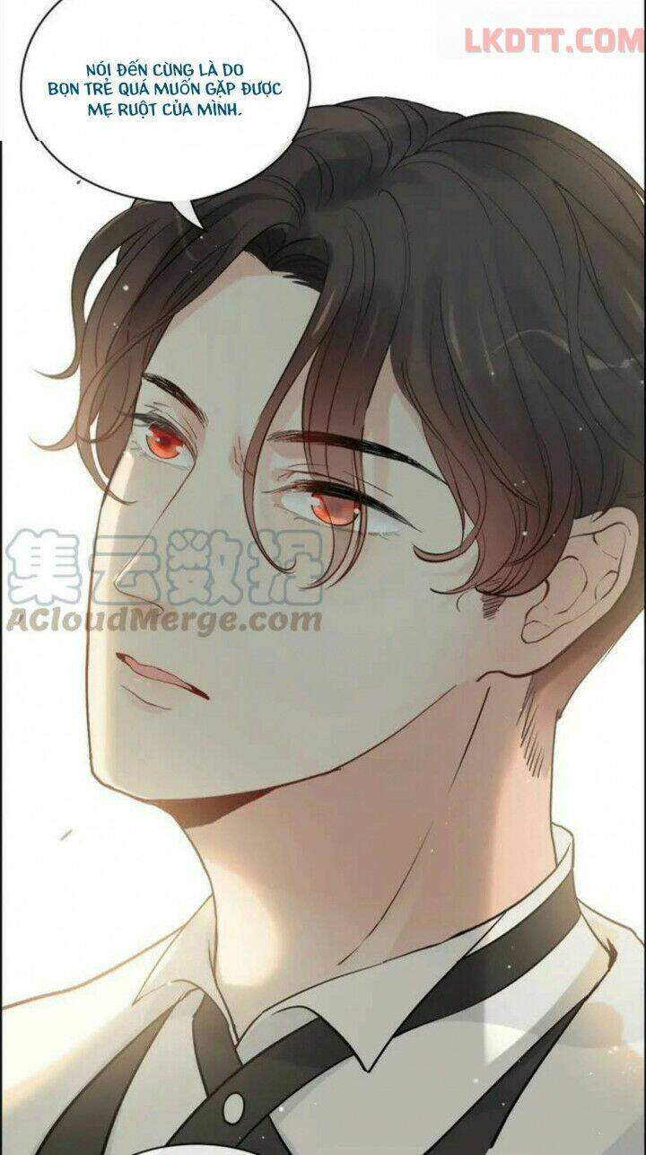 Cô Vợ Hợp Đồng Bỏ Trốn Của Tổng Giám Đốc Chap 334 - Next Chap 335