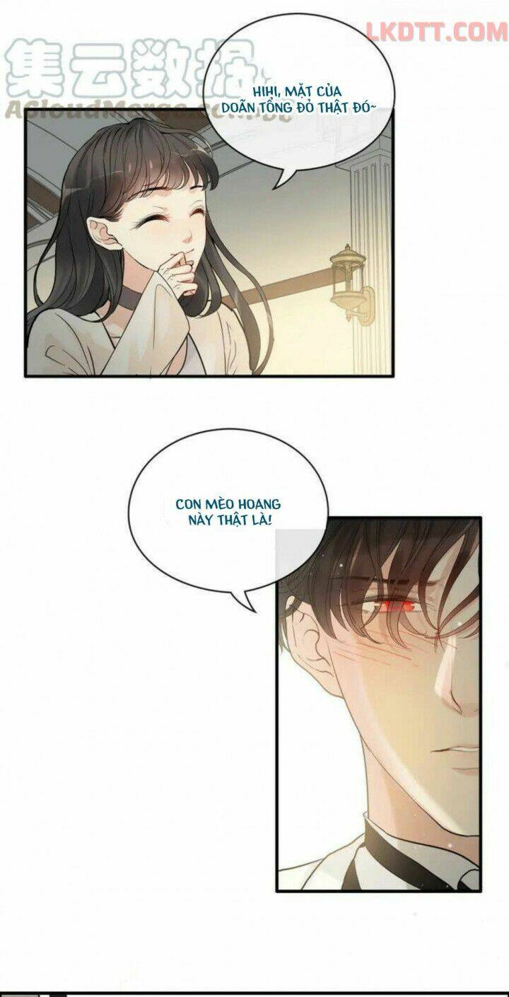 Cô Vợ Hợp Đồng Bỏ Trốn Của Tổng Giám Đốc Chap 334 - Next Chap 335