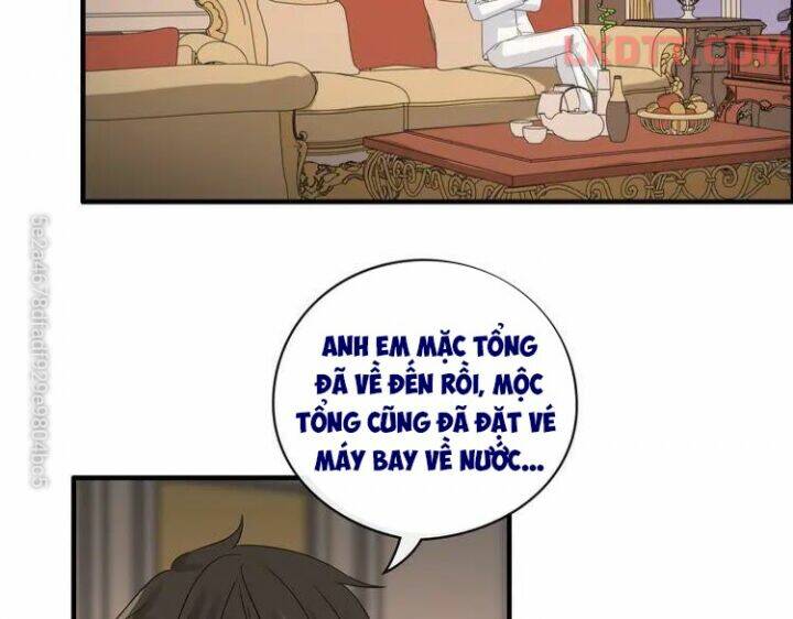 Cô Vợ Hợp Đồng Bỏ Trốn Của Tổng Giám Đốc Chap 336 - Next Chap 337