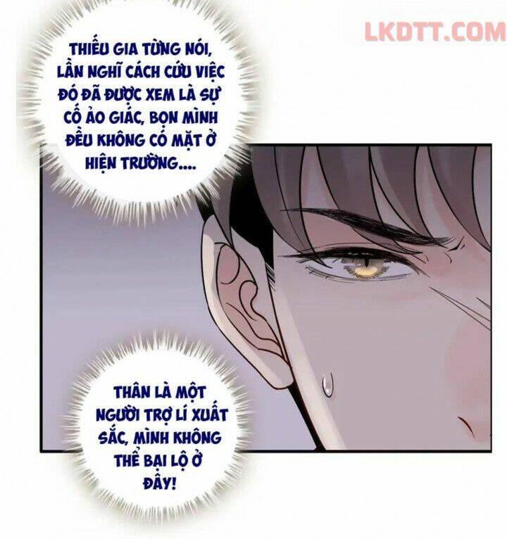 Cô Vợ Hợp Đồng Bỏ Trốn Của Tổng Giám Đốc Chap 337 - Next Chap 338