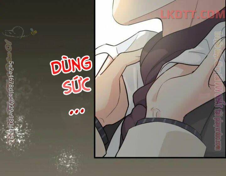 Cô Vợ Hợp Đồng Bỏ Trốn Của Tổng Giám Đốc Chap 339 - Next Chap 340