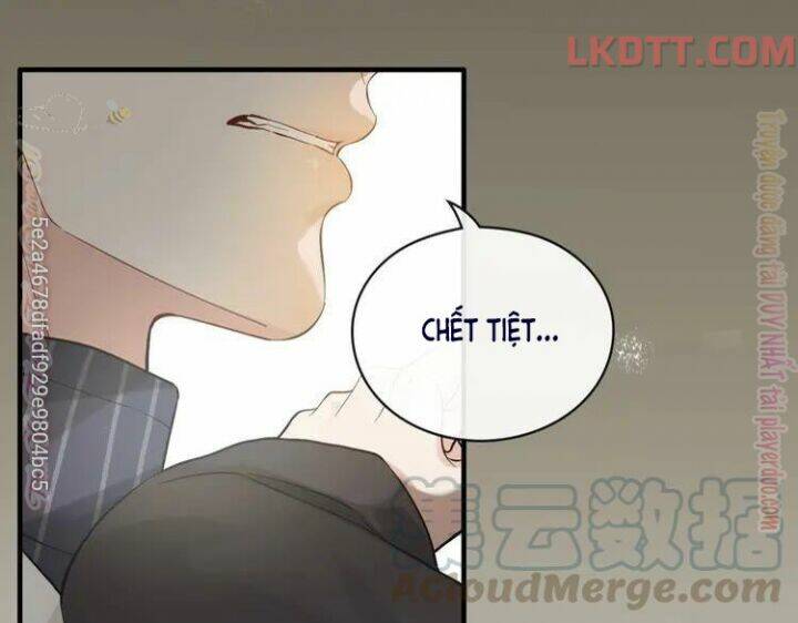 Cô Vợ Hợp Đồng Bỏ Trốn Của Tổng Giám Đốc Chap 339 - Next Chap 340