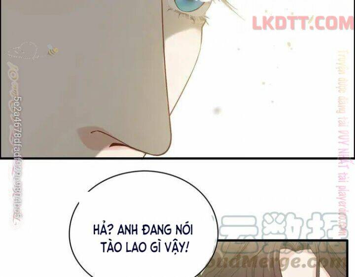 Cô Vợ Hợp Đồng Bỏ Trốn Của Tổng Giám Đốc Chap 339 - Next Chap 340