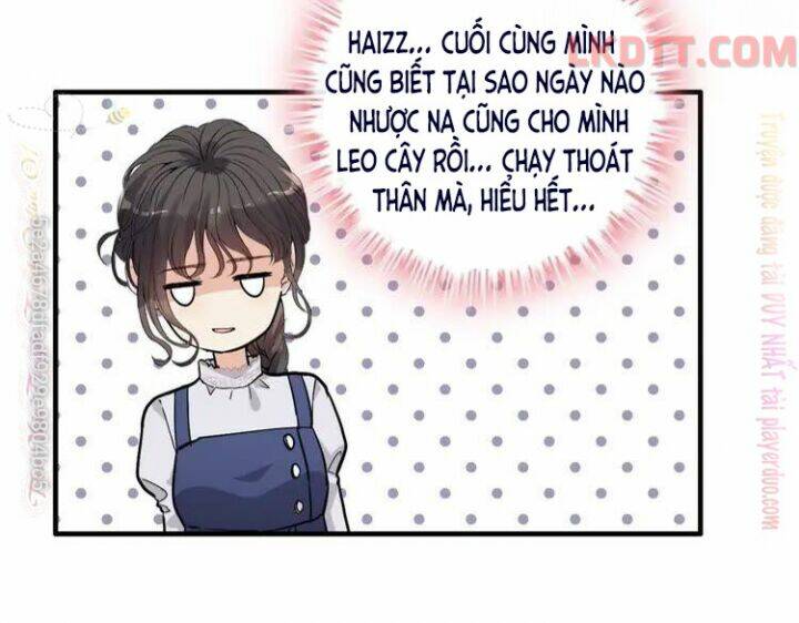 Cô Vợ Hợp Đồng Bỏ Trốn Của Tổng Giám Đốc Chap 340 - Next Chap 341