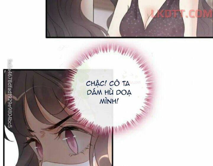 Cô Vợ Hợp Đồng Bỏ Trốn Của Tổng Giám Đốc Chap 342 - Next Chap 343