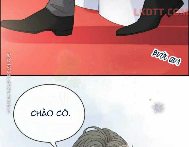 Cô Vợ Hợp Đồng Bỏ Trốn Của Tổng Giám Đốc Chap 342 - Next Chap 343