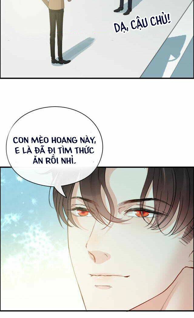 Cô Vợ Hợp Đồng Bỏ Trốn Của Tổng Giám Đốc Chap 351.1 - Next Chap 352.1