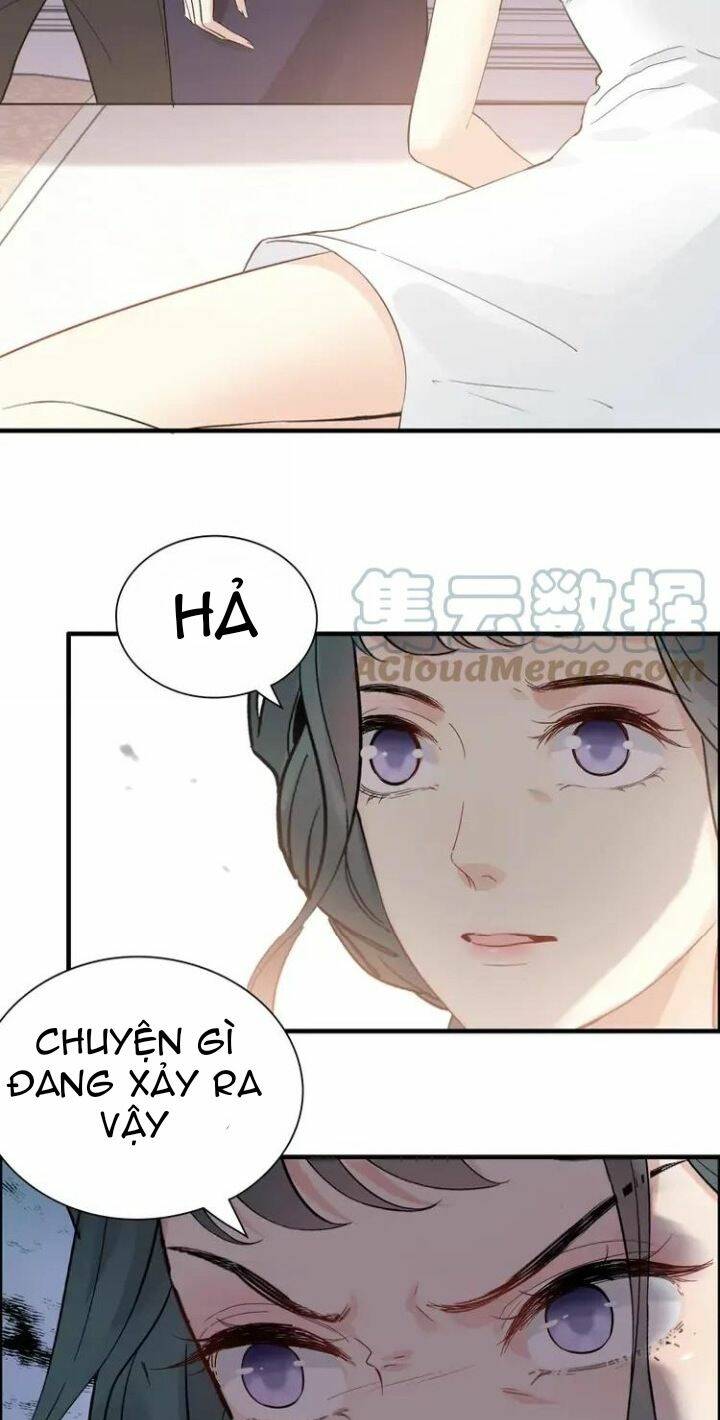 Cô Vợ Hợp Đồng Bỏ Trốn Của Tổng Giám Đốc Chap 384 - Next Chap 385