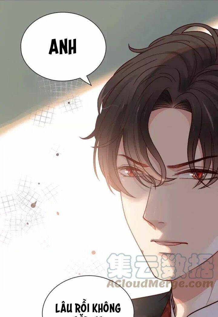 Cô Vợ Hợp Đồng Bỏ Trốn Của Tổng Giám Đốc Chap 385 - Next Chap 386