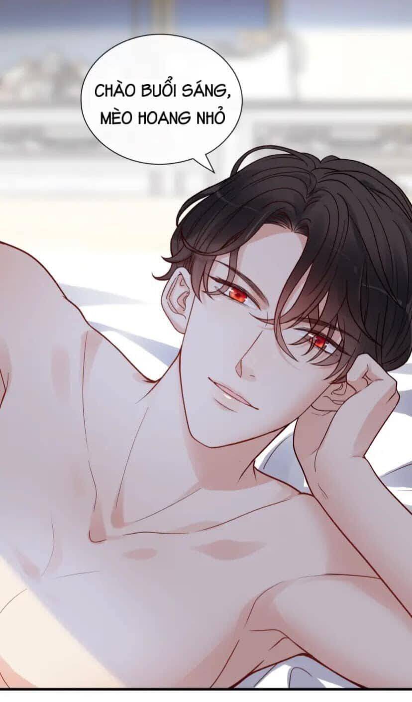 Cô Vợ Hợp Đồng Bỏ Trốn Của Tổng Giám Đốc Chap 395.5 - Next Chap 396.5