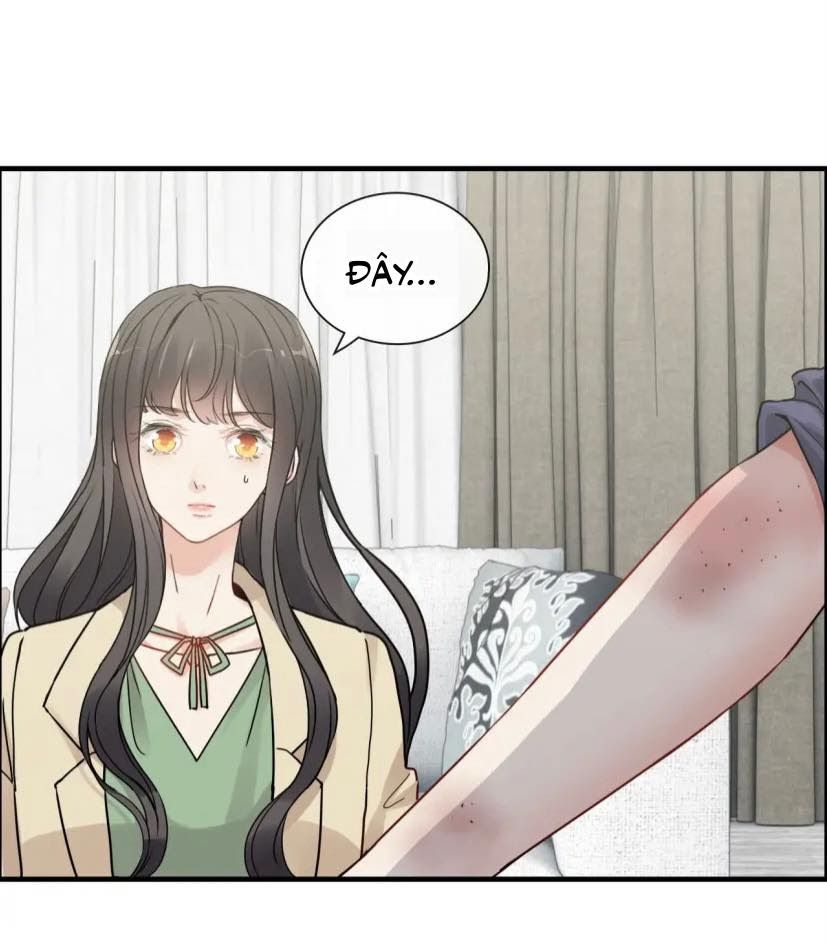 Cô Vợ Hợp Đồng Bỏ Trốn Của Tổng Giám Đốc Chap 406.5 - Next Chap 407.5