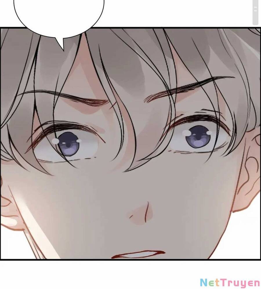 Cô Vợ Hợp Đồng Bỏ Trốn Của Tổng Giám Đốc Chap 435.2 - Next Chap 436.2