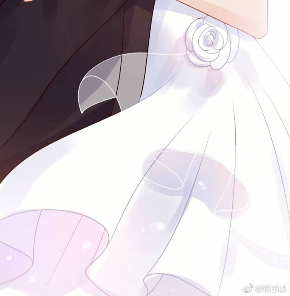 Cô Vợ Hợp Đồng Bỏ Trốn Của Tổng Giám Đốc Chap 45.5 - Next Chap 46.5